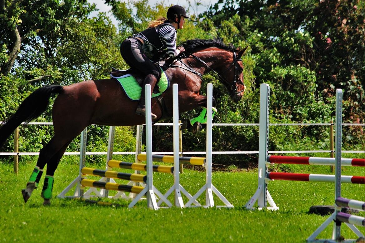 Oldenborg Ulrikke af hvarre billede 1