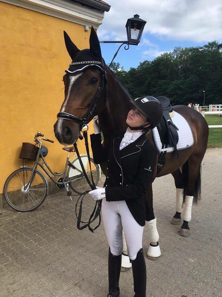 Dansk Varmblod Hellmers Cutie billede 18