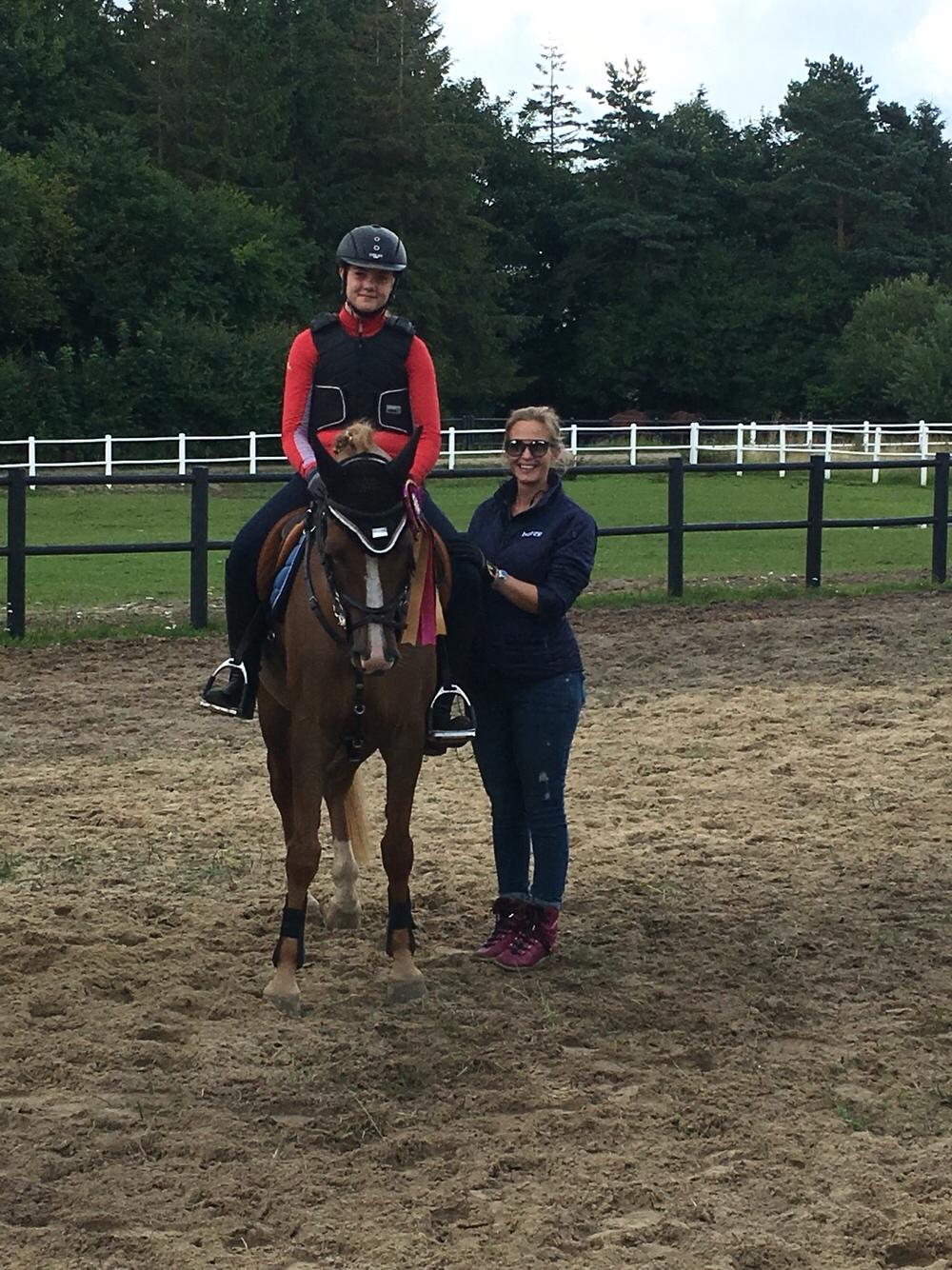 Tysk Sportspony Valentino billede 5