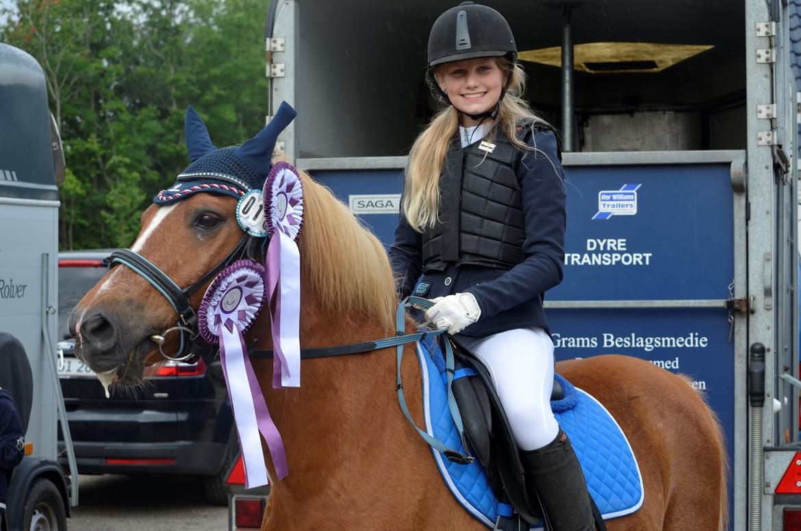 Anden særlig race Tasano - VRIK springstævne 07/08-2016 billede 3