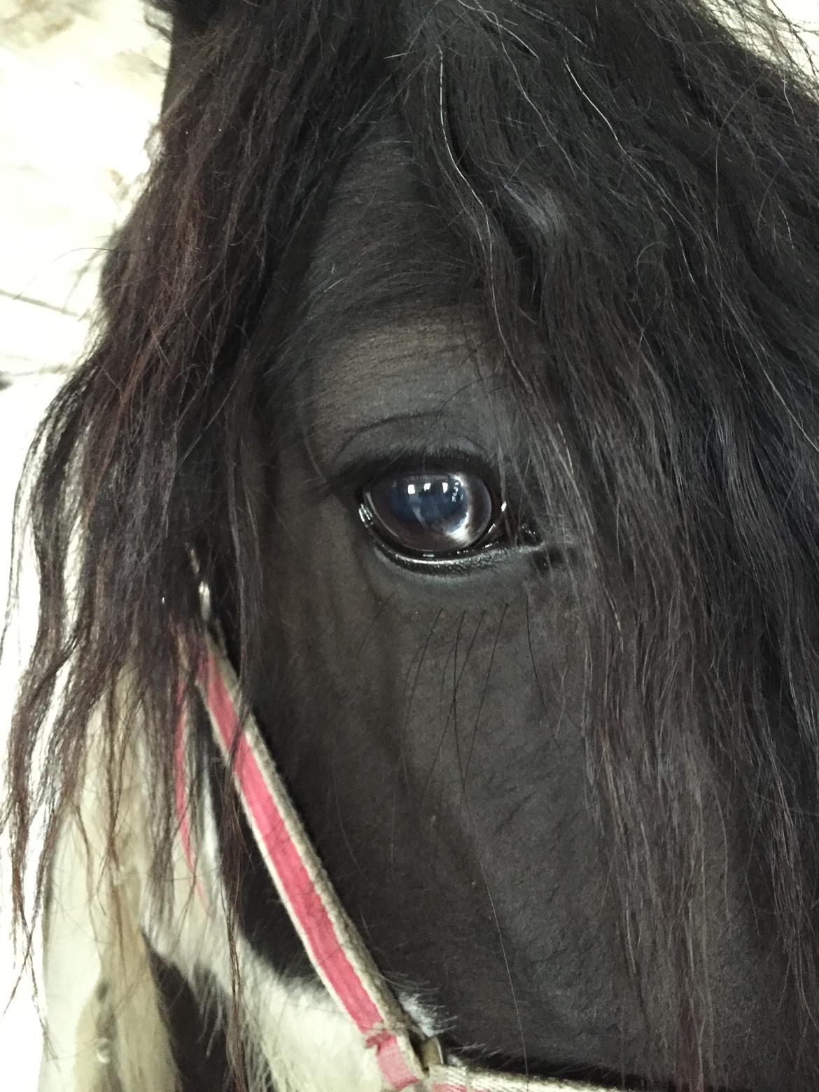 Tinker Kenzo's thumps up *kenny*  billede 13