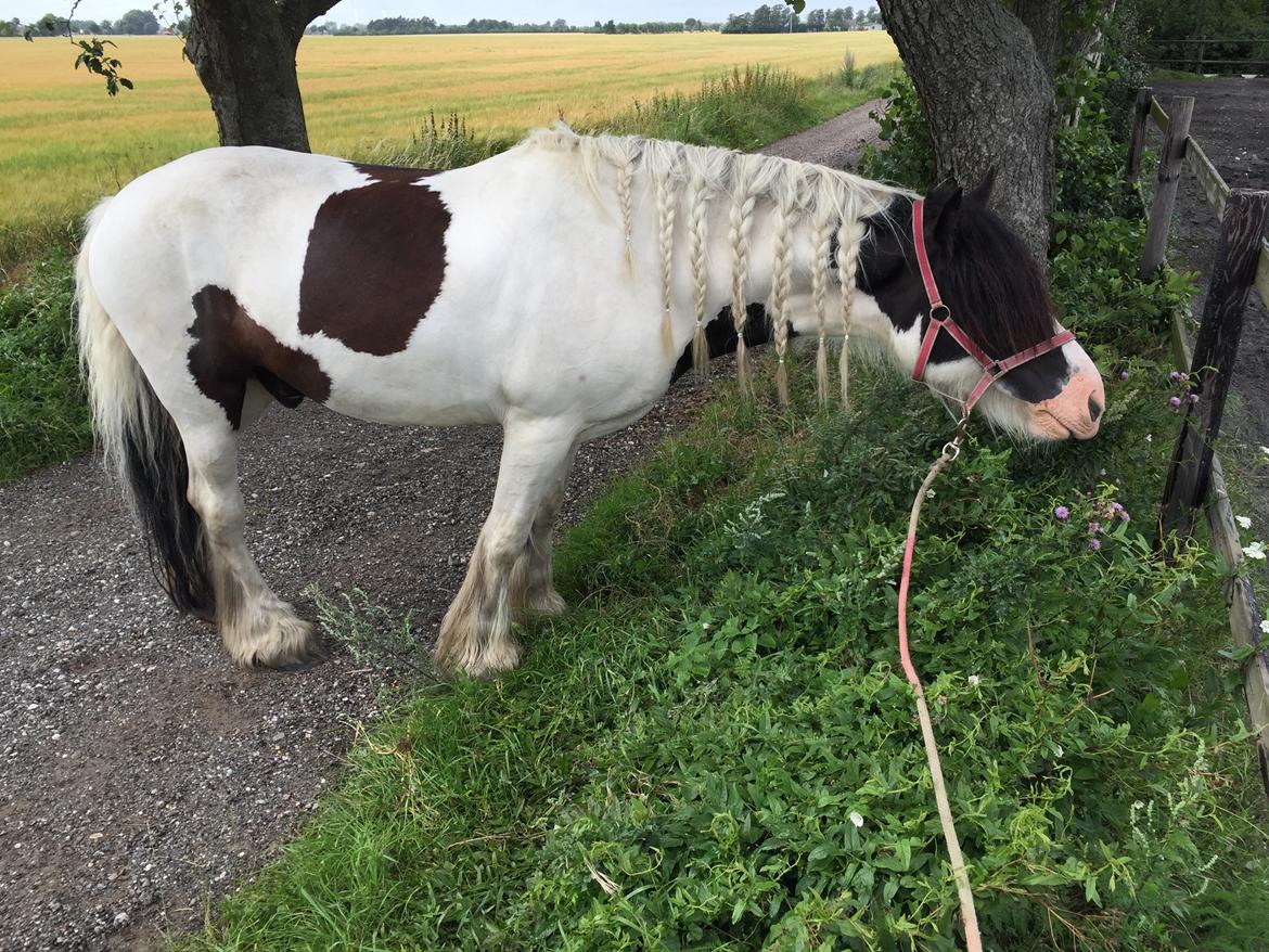 Tinker Kenzo's thumps up *kenny*  billede 14