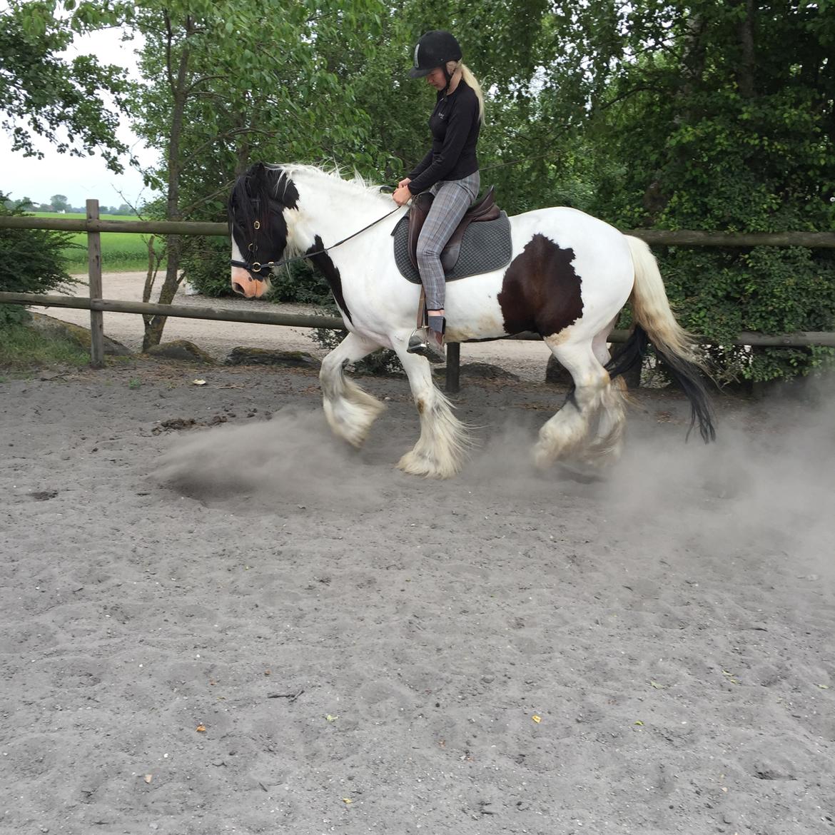 Tinker Kenzo's thumps up *kenny*  billede 15