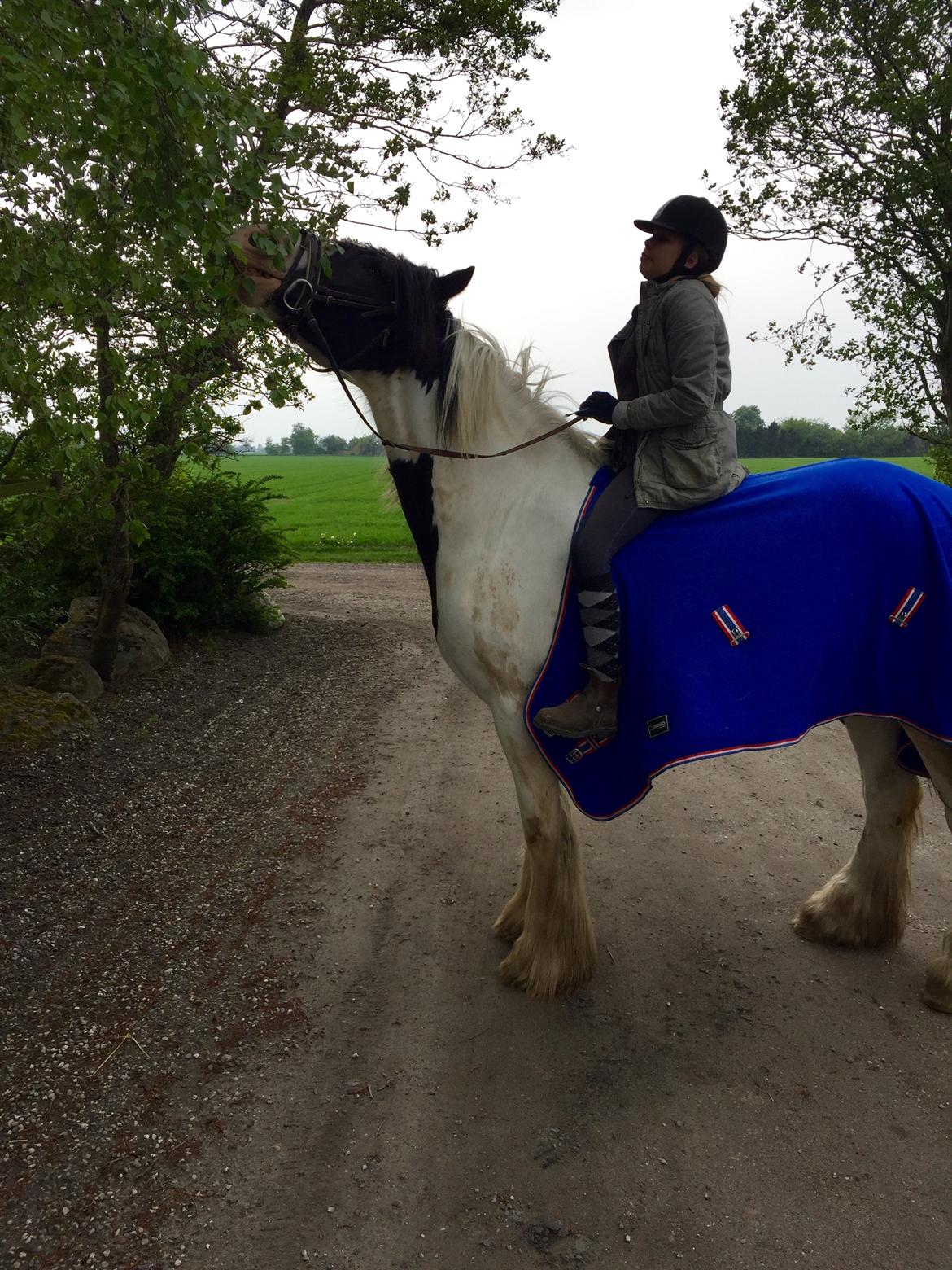 Tinker Kenzo's thumps up *kenny*  billede 16