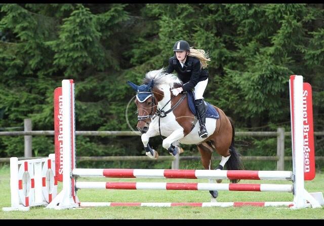 Islænder Aslan billede 6