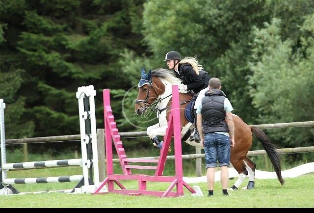 Islænder Aslan - Hans første stævne! 2 super fine ture, i 50 & 60 cm.  billede 3