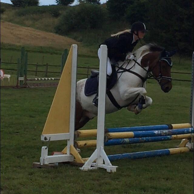 Islænder Aslan billede 15