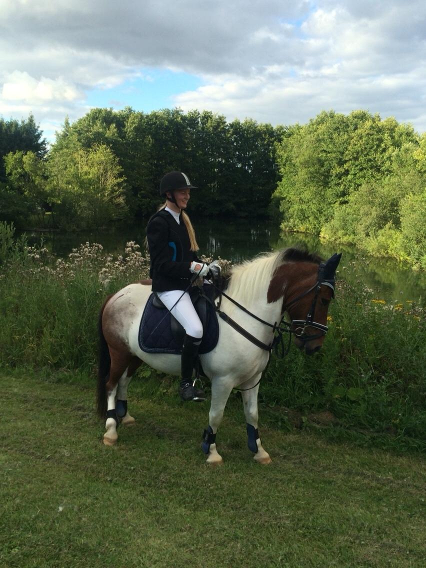 Islænder Aslan billede 13