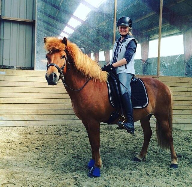 Islænder Jódís fra Freistinggård. (Part) billede 1