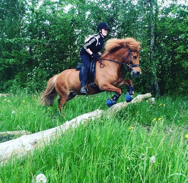 Islænder Jódís fra Freistinggård. (Part) billede 16