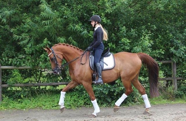 Anden særlig race Manja  billede 2