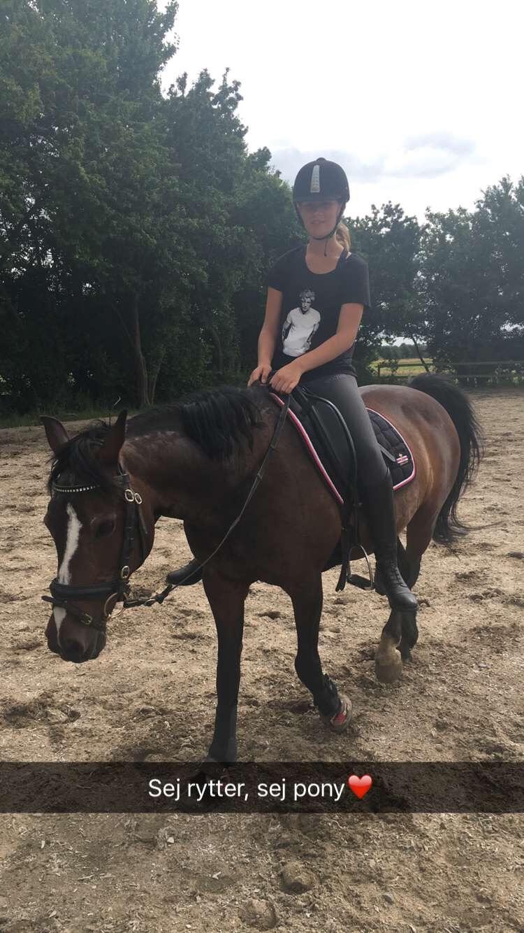 Connemara Claire[Tidl. Part] billede 20