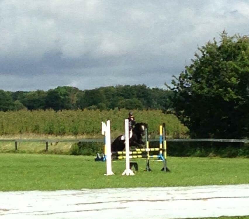 New Forest Elmholts Filicia - Filicia og hendes søde tidligere låner i spring træning sommeren 2016 ♥ billede 18