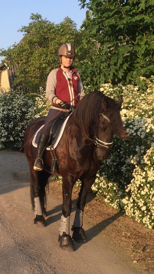 Frieser Barik billede 7