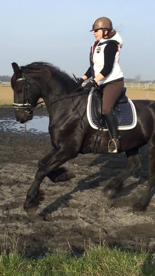 Frieser Barik billede 11