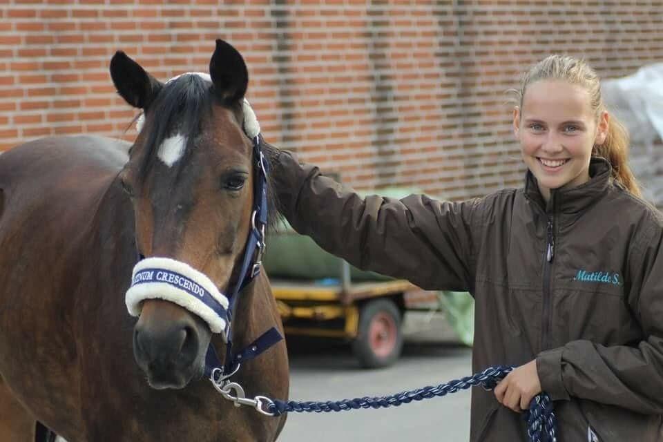 DSP Monopoly billede 2