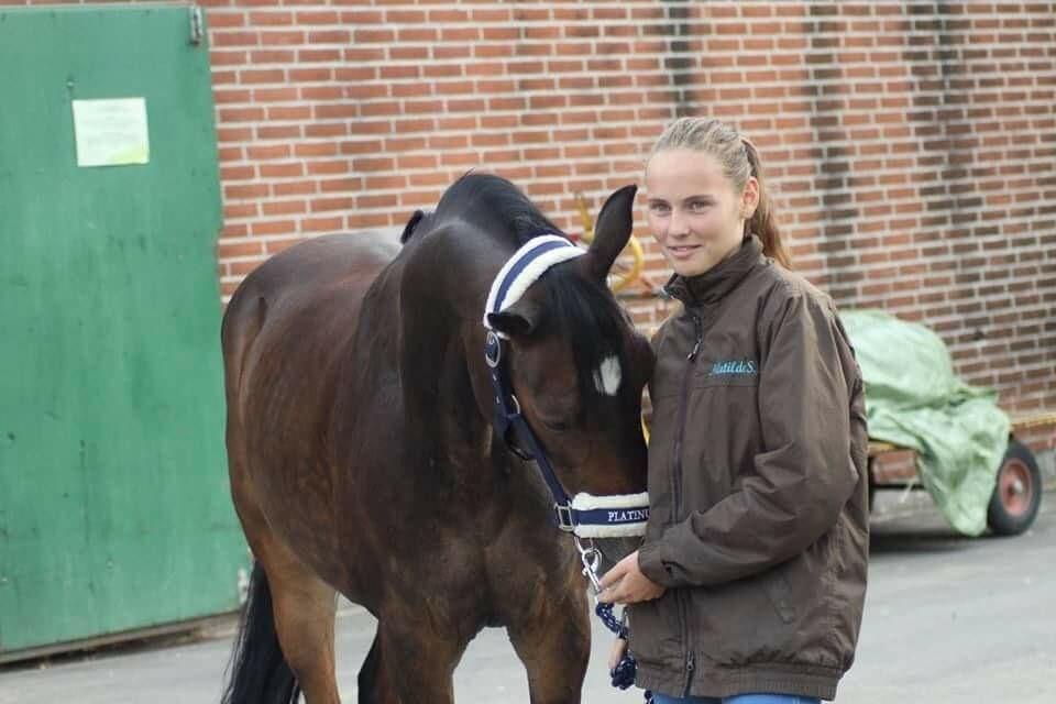 DSP Monopoly billede 9