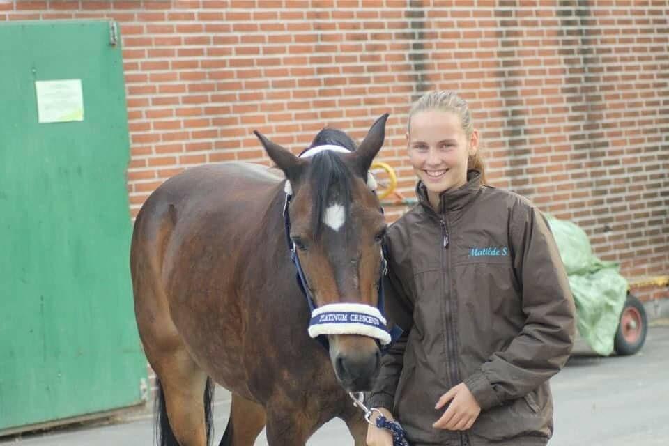 DSP Monopoly billede 10