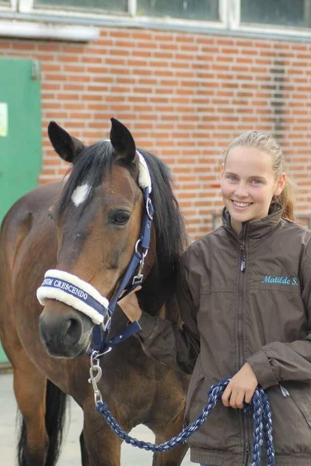 DSP Monopoly billede 12