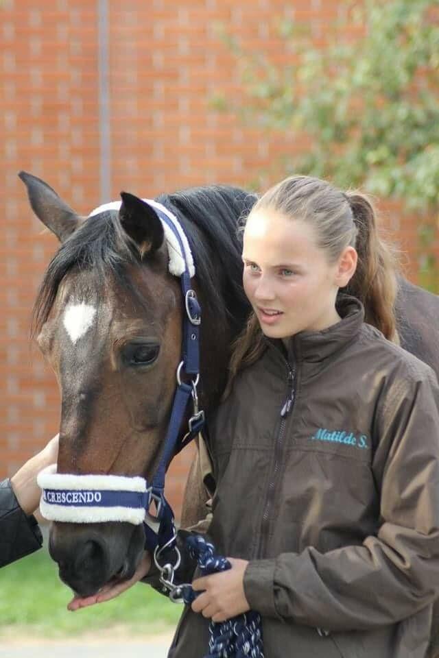 DSP Monopoly billede 13