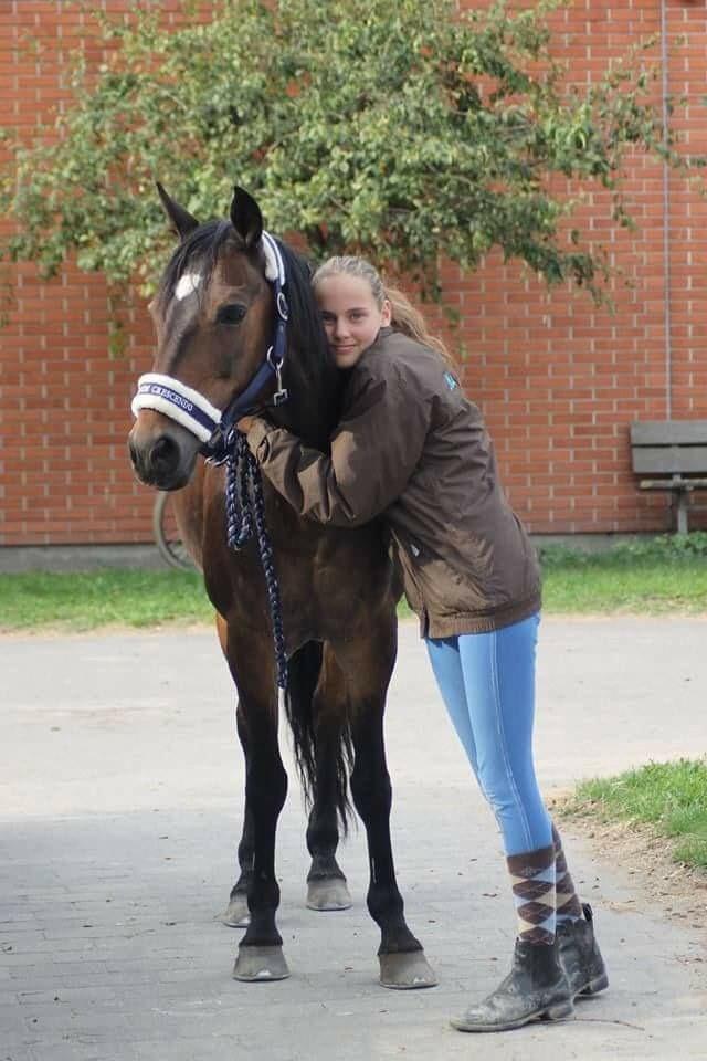 DSP Monopoly billede 14