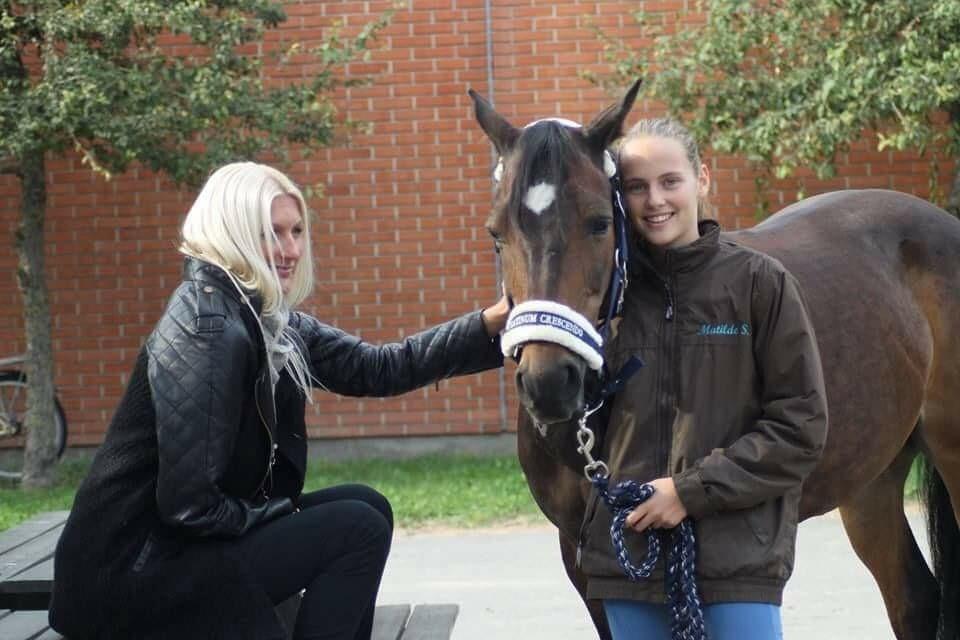 DSP Monopoly billede 15