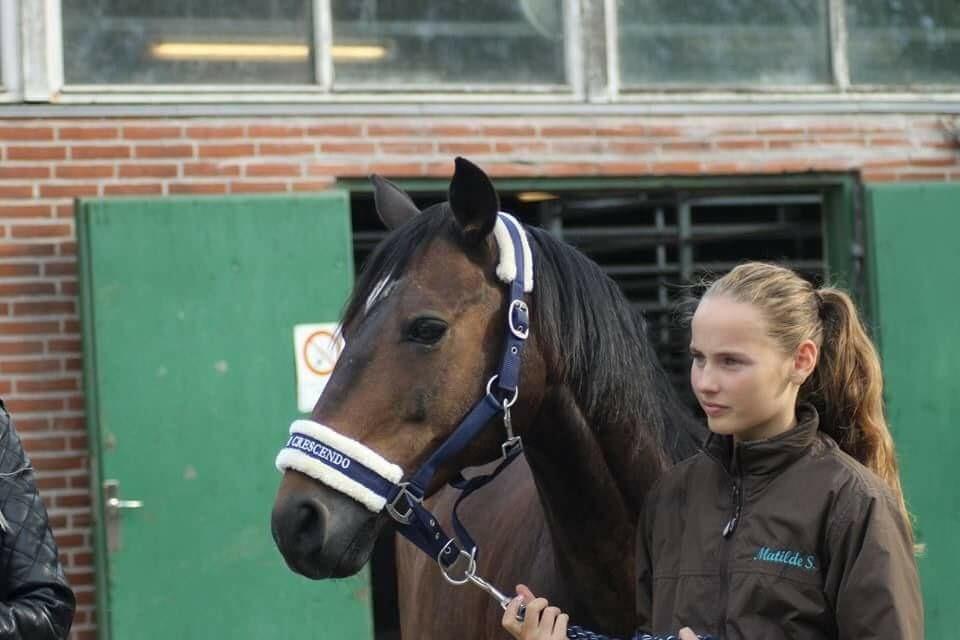 DSP Monopoly billede 16