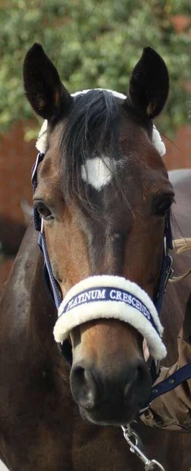 DSP Monopoly billede 18