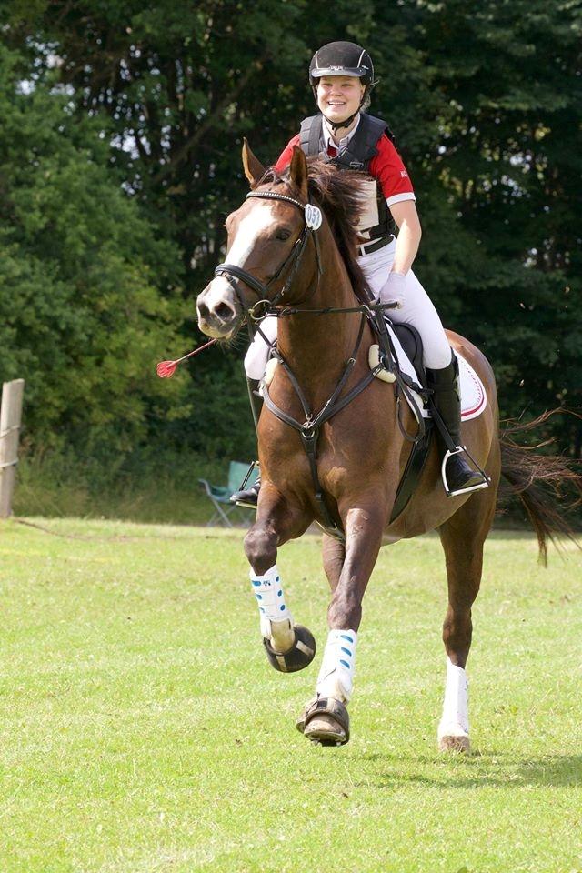 Anden særlig race Klintegårdens Kasus billede 6