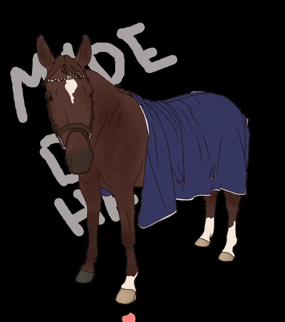 Dansk Varmblod Vortinggårds Aida *Hypse* 2001-2017 billede 20