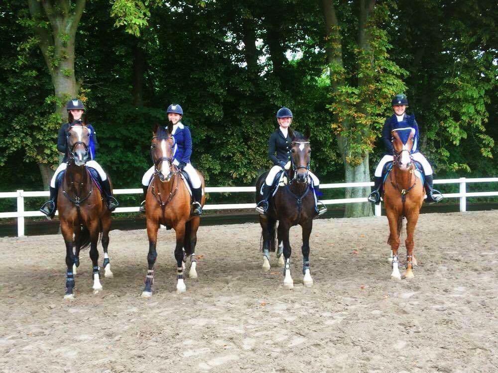 Hollandsk Varmblod Wilddancer - Distriktmestre for hold 2016 D5 billede 40