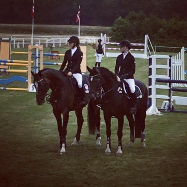 Hollandsk Varmblod Wilddancer - Distriktmestre for hold 2016 D5 billede 45