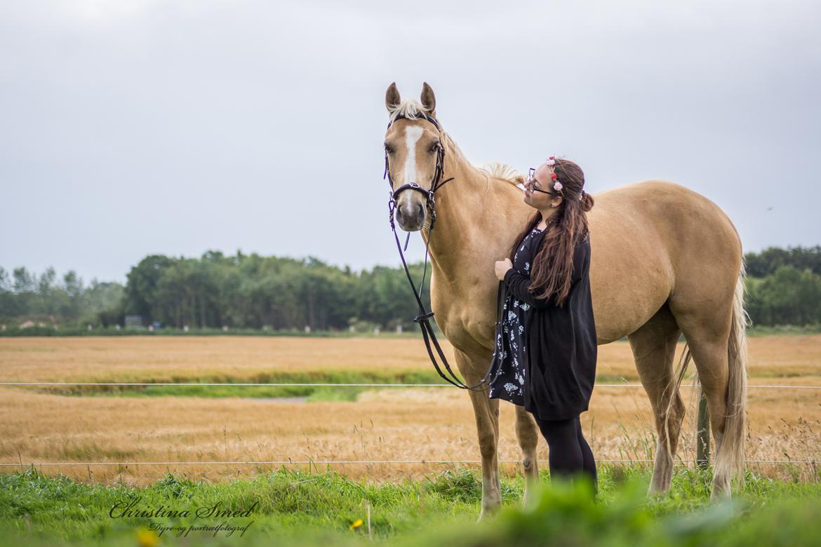 Palomino Kvolsbæk's Exclusive Enya - Fotograf Christina Smed billede 4