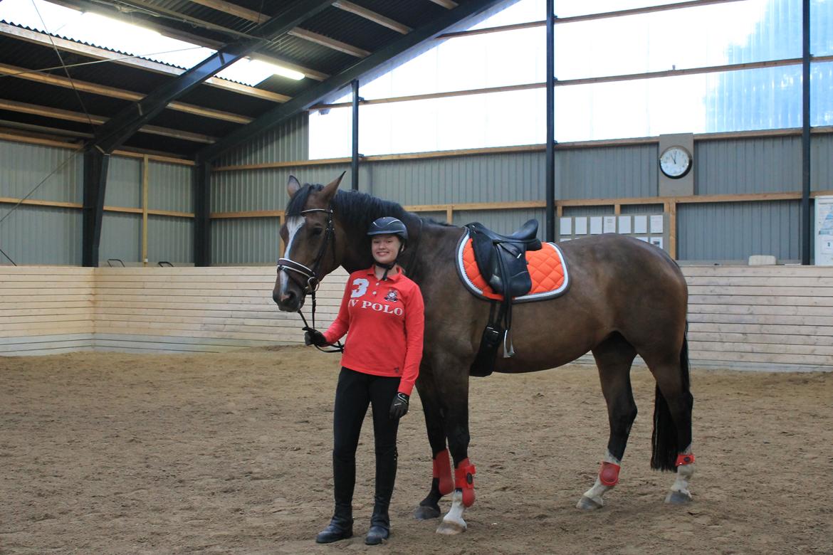 Dansk Varmblod Kiara ''Soulmate'' billede 9