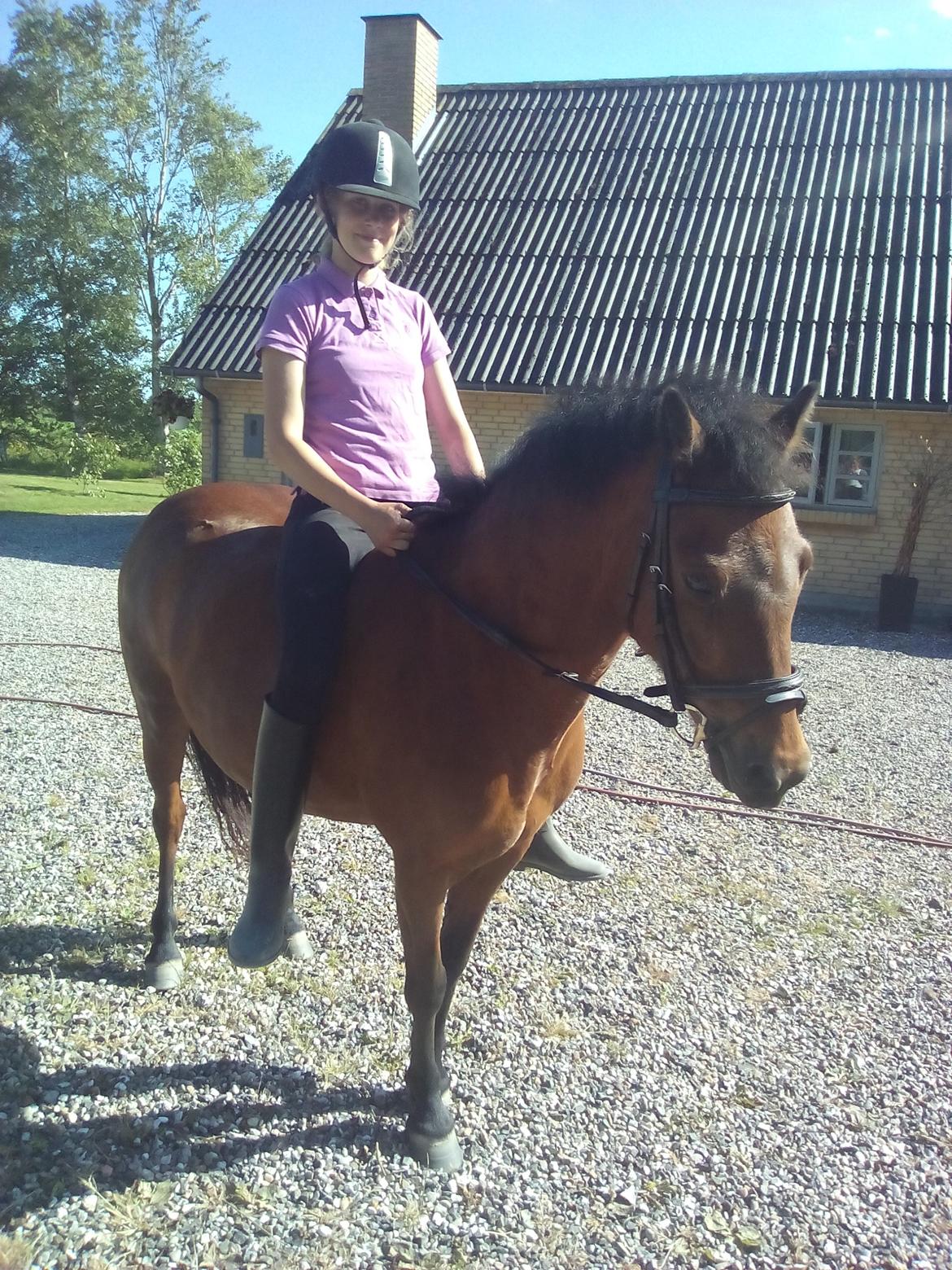 Dartmoor Anc-neu fea billede 1