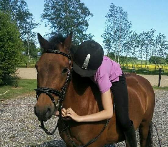 Dartmoor Anc-neu fea billede 6