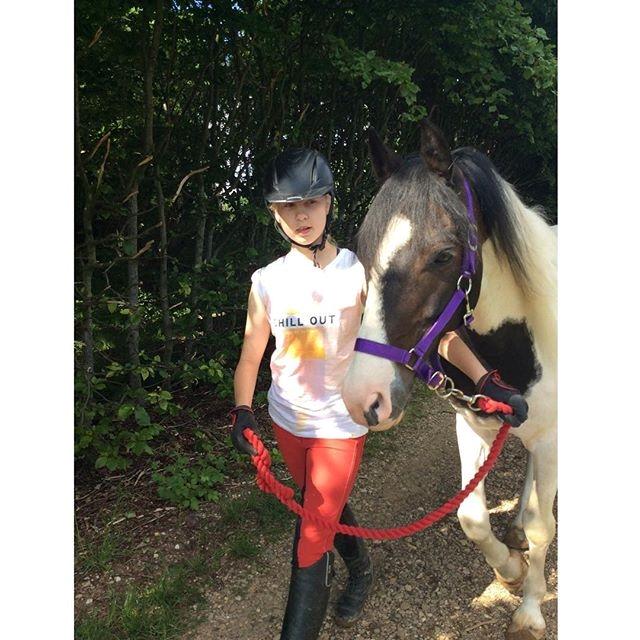 Hollandsk Sportspony Samber (lillesøsters pony) - Lige da vi havde fået Samber hjem<3 billede 7