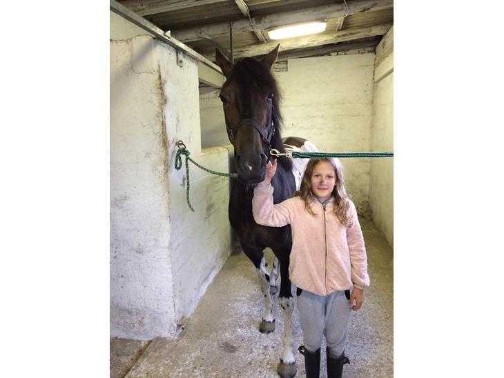 Pinto Nacoma indian - Her er en glad pige med sin nye pony  billede 12