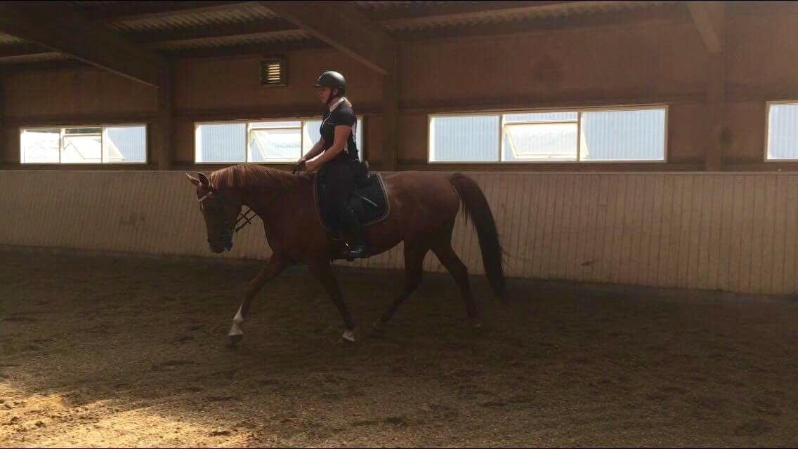 Anden særlig race Manja  billede 28