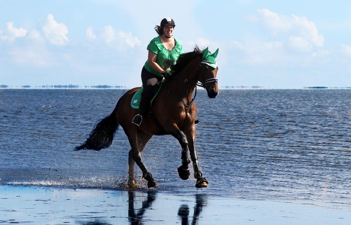 Anden særlig race Dalvangs Casper - Casper på stranden i juli 2016 :) billede 27
