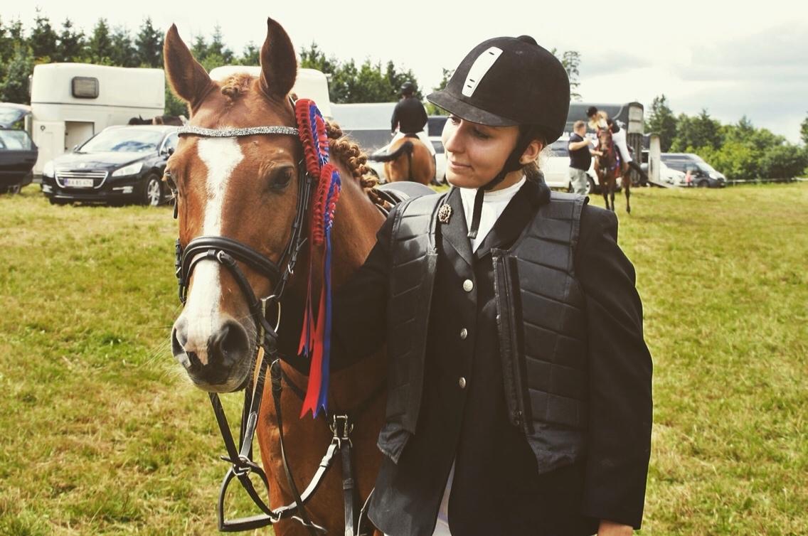 Anden særlig race Forint billede 10