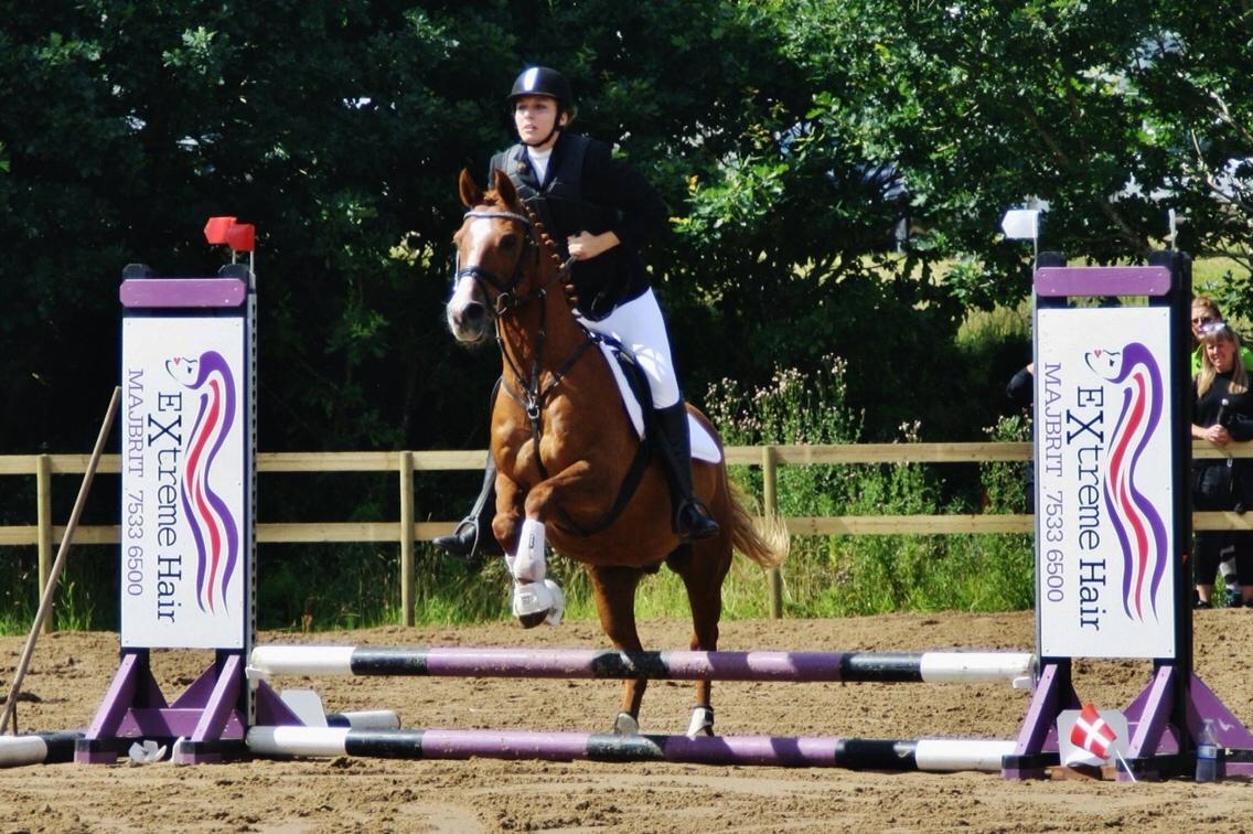 Anden særlig race Forint billede 14