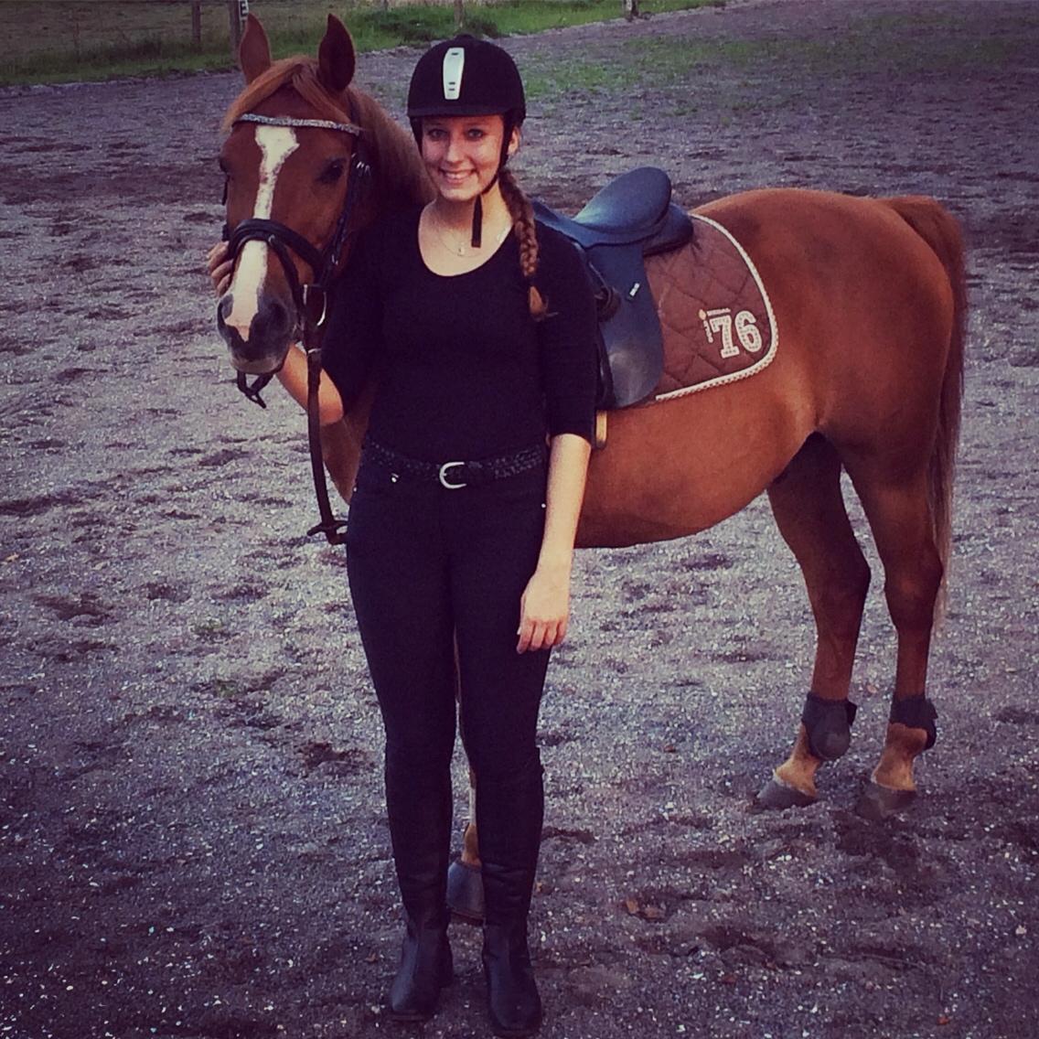 Anden særlig race Forint billede 15