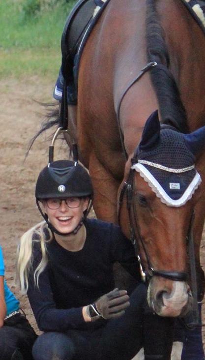 Dansk Varmblod Lotus royal billede 17