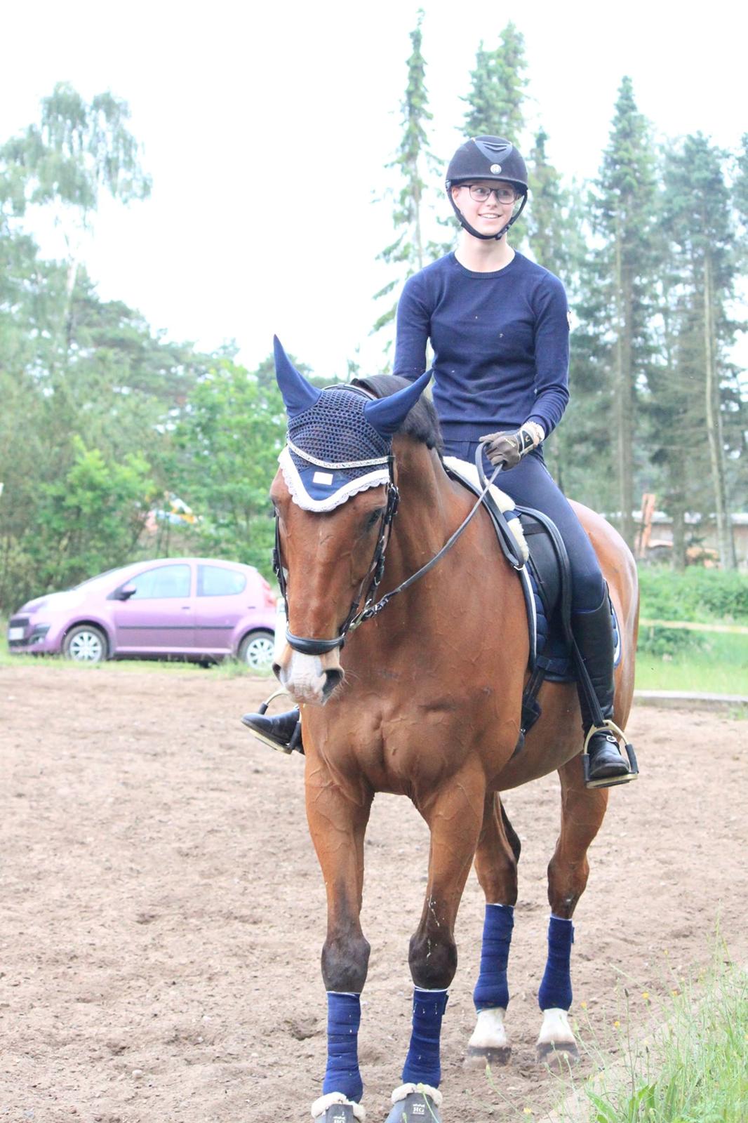 Dansk Varmblod Lotus royal - 2016 billede 7