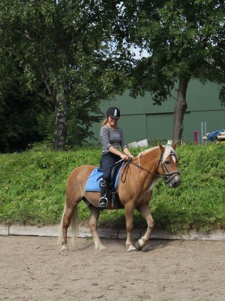 Haflinger Straus <3 hvil i fred ;( billede 8