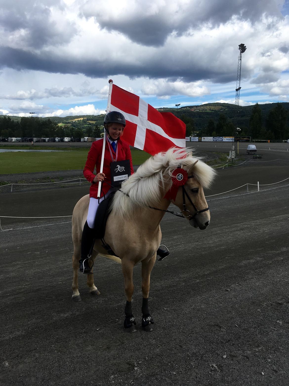 Islænder Frostrós frá Sauðárkróki - NM 2016, vi vandt sølv i PP1 YR billede 1