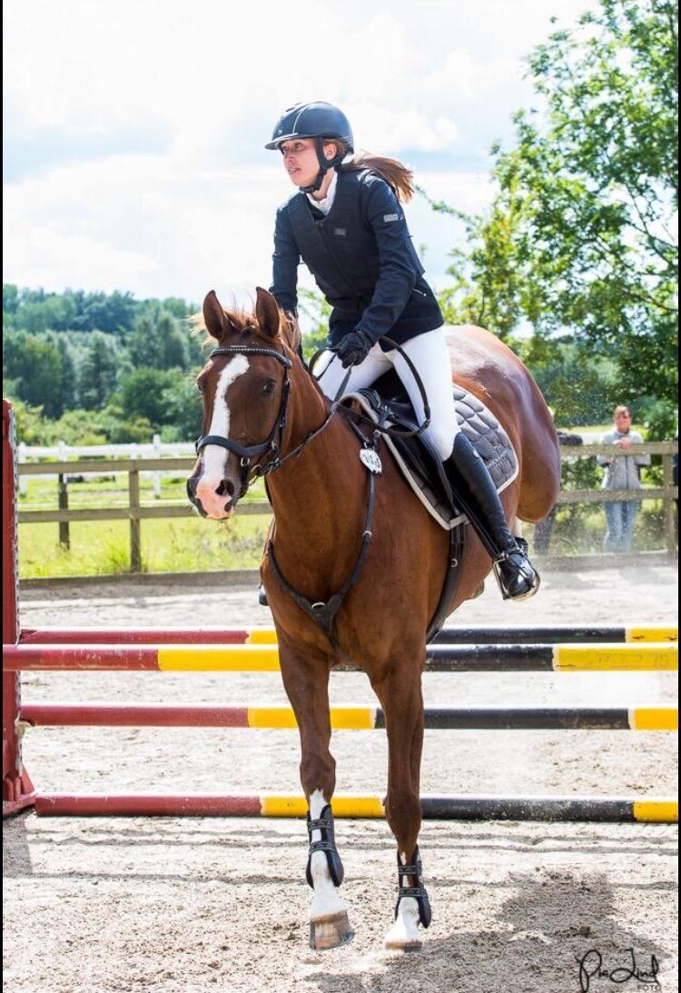 Anden særlig race Skovlunds Lacoste  billede 11