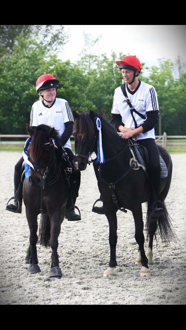 Anden særlig race Dina billede 30