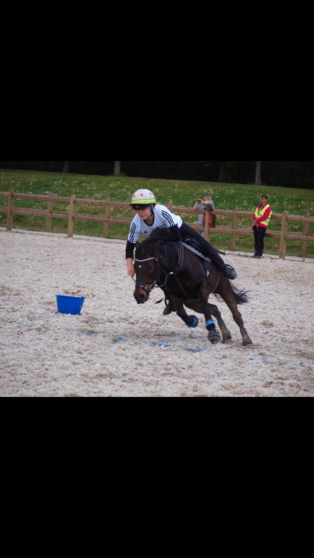 Anden særlig race Dina billede 31